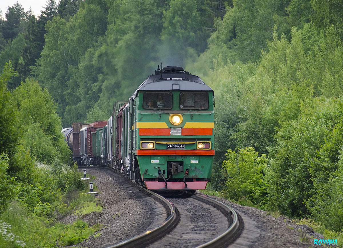 2ТЭ116-343