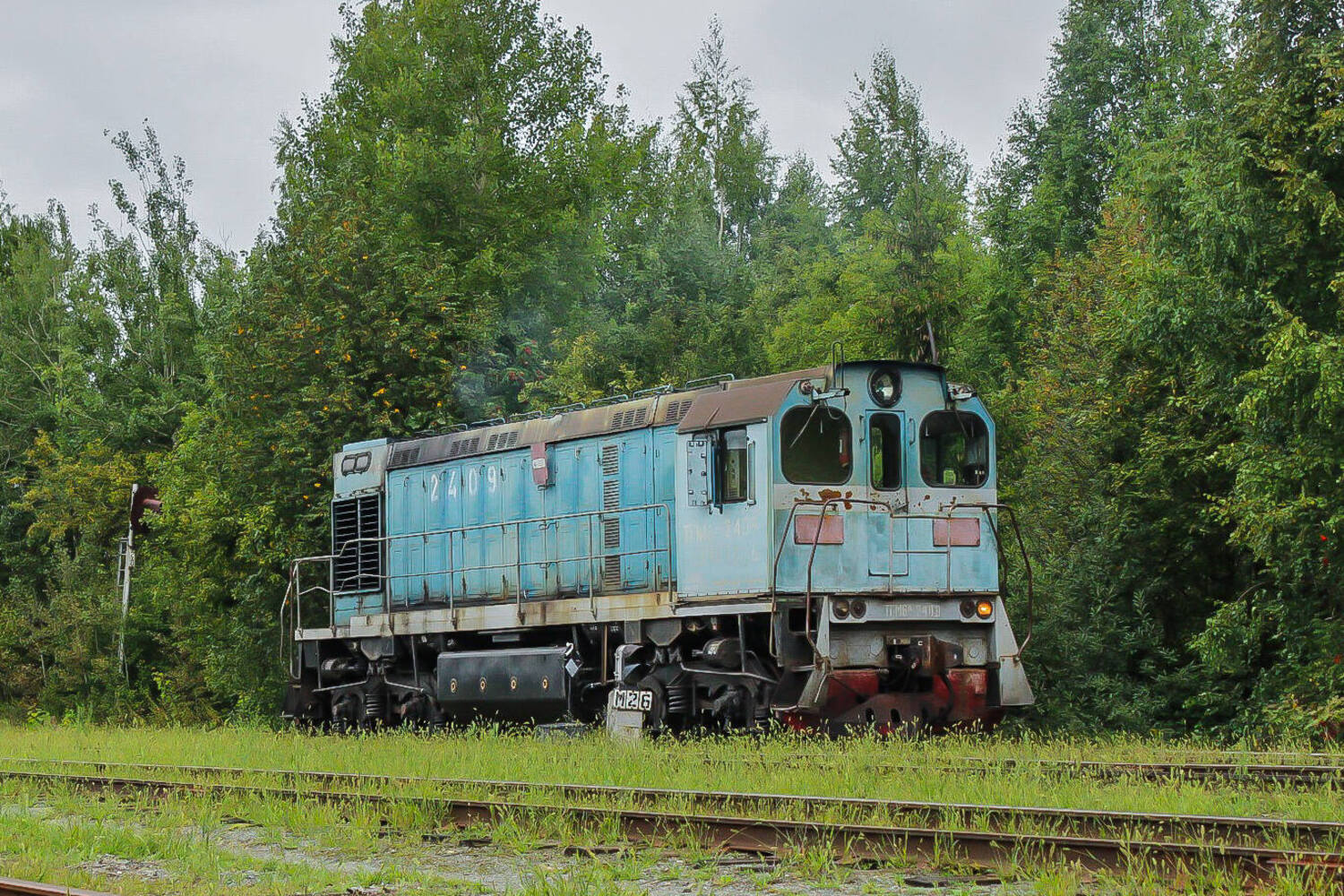 ТГМ6А-2409