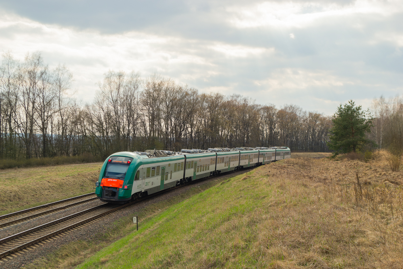 ДП6-003