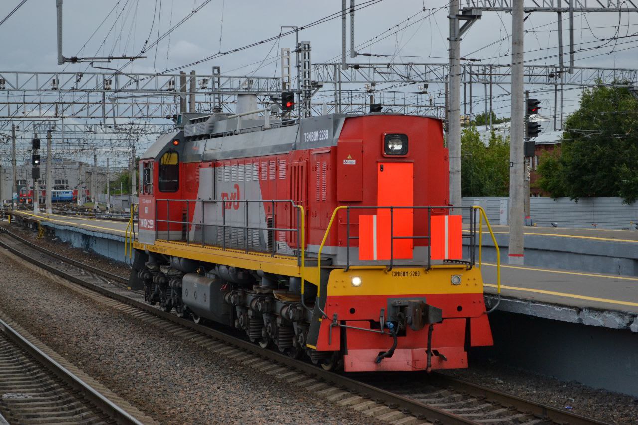 ТЭМ18ДМ-2289