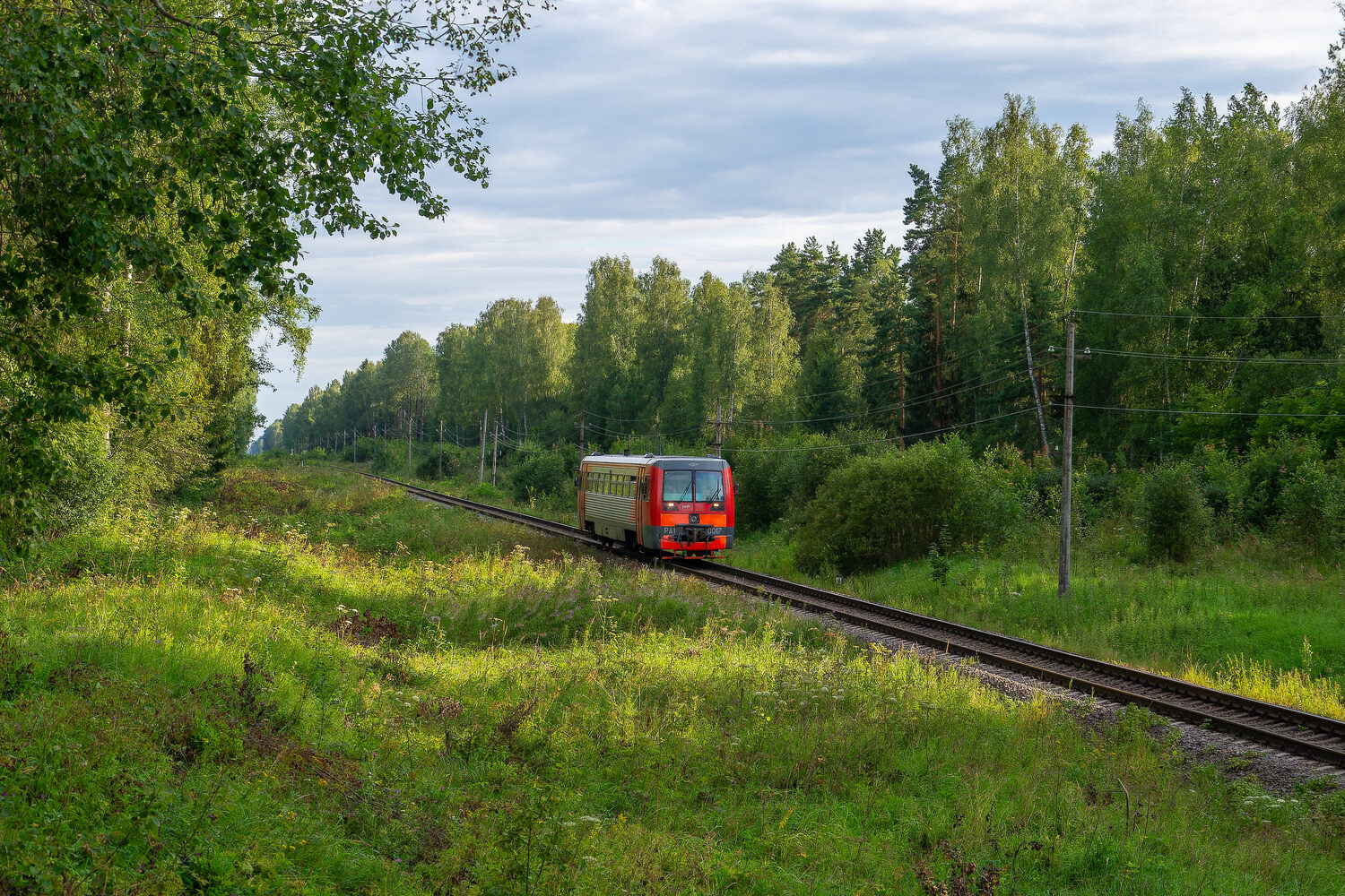 РА1-0017