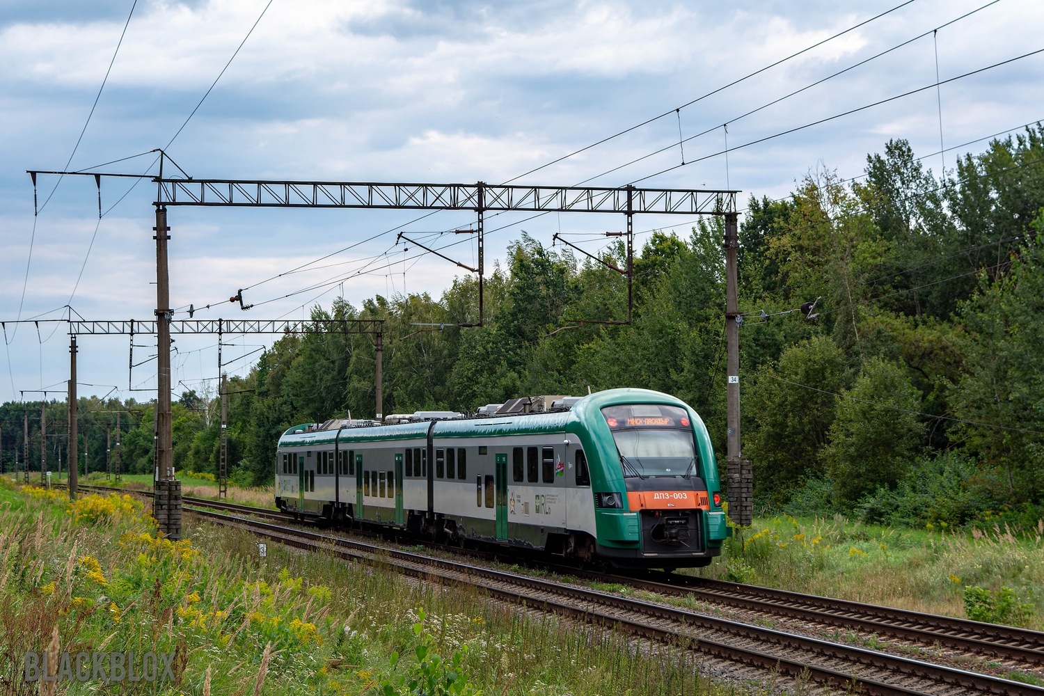 ДП3-003