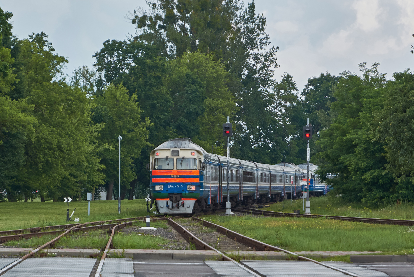 ДР1А-313