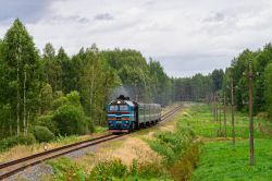 785 КБ