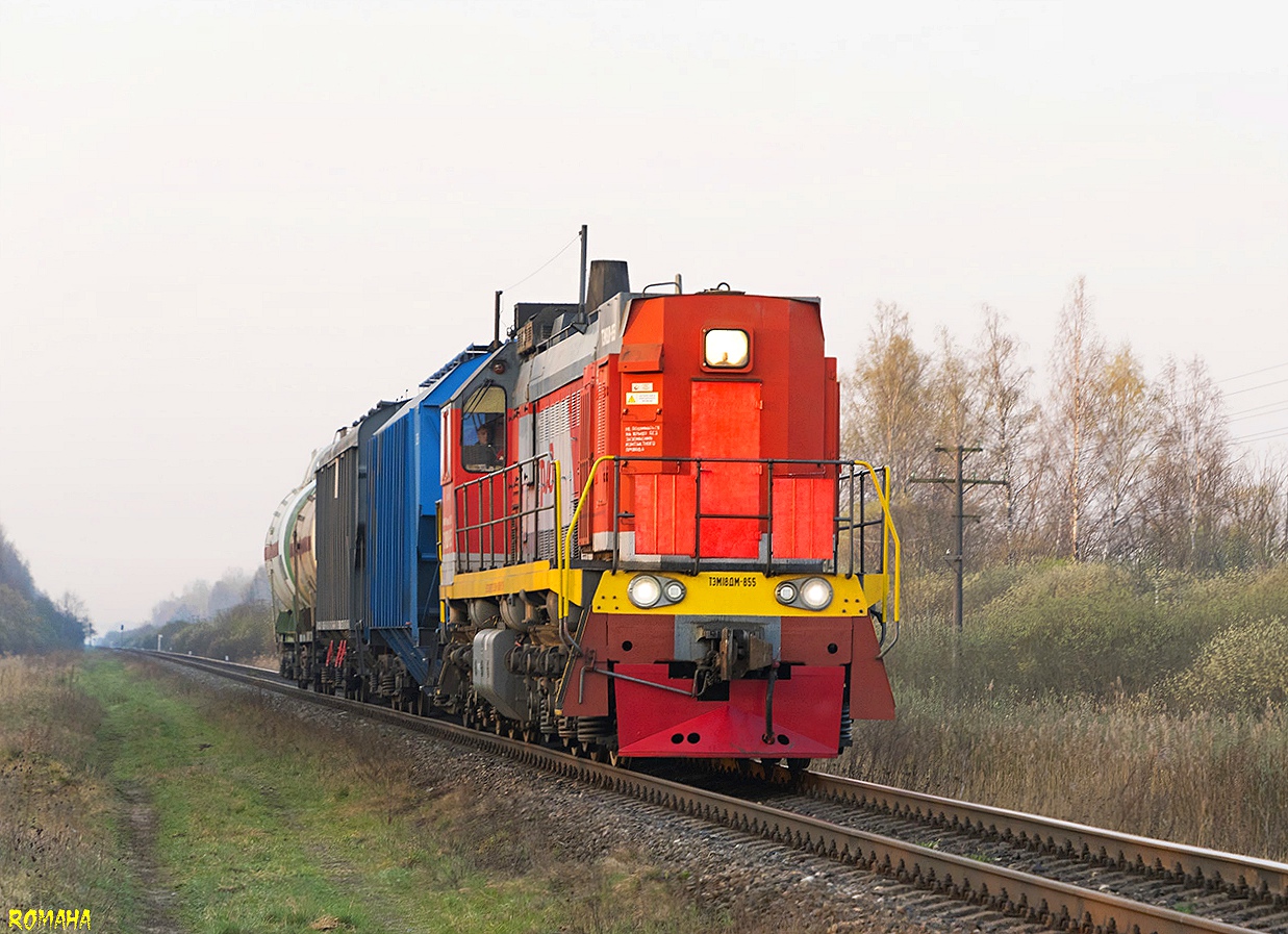 ТЭМ18ДМ-855