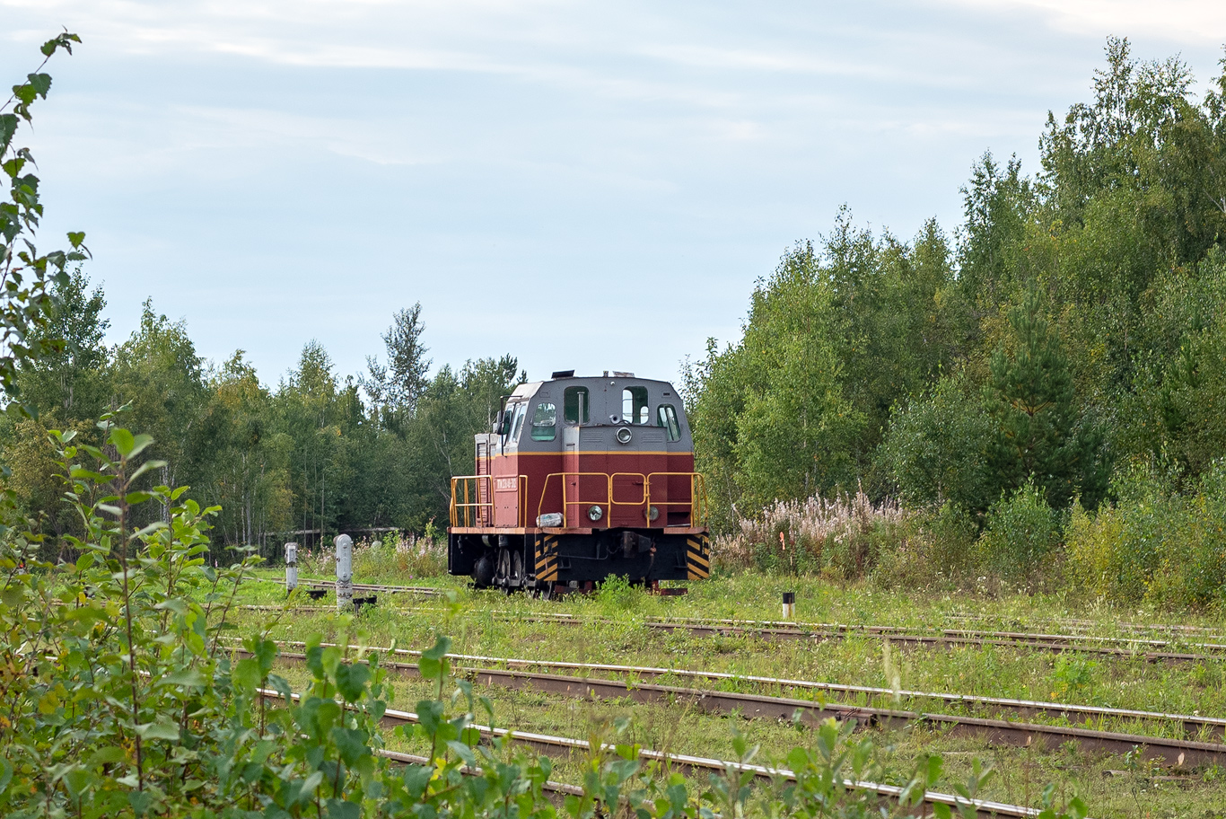 ТГМ23В48-302