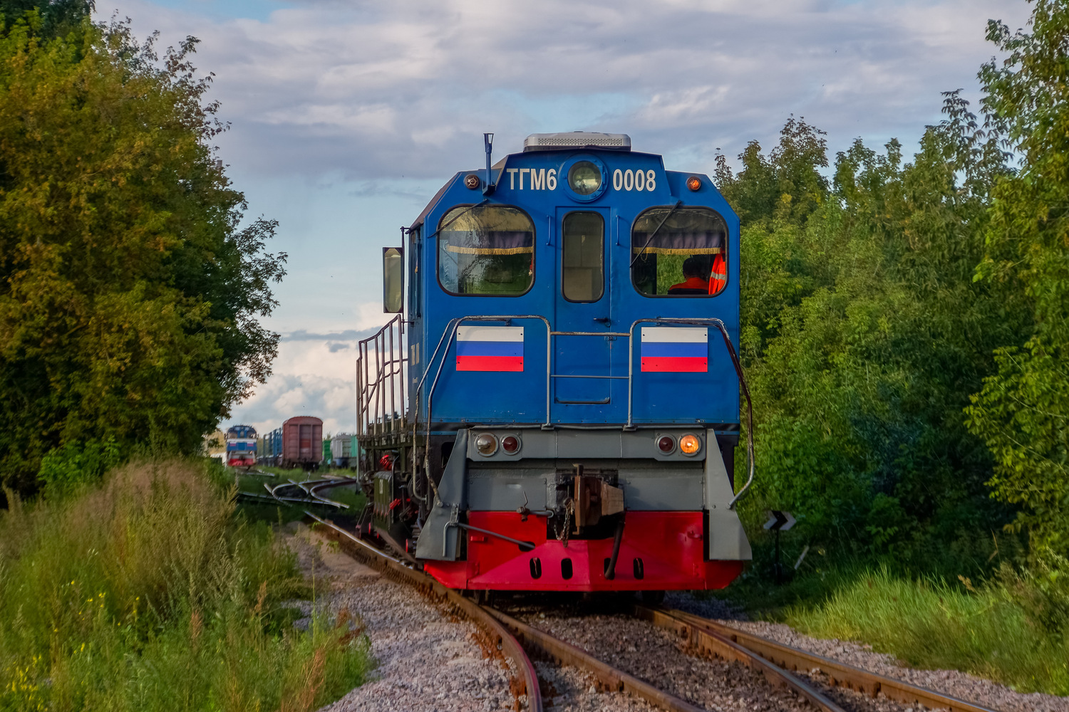 ТГМ6В-0008