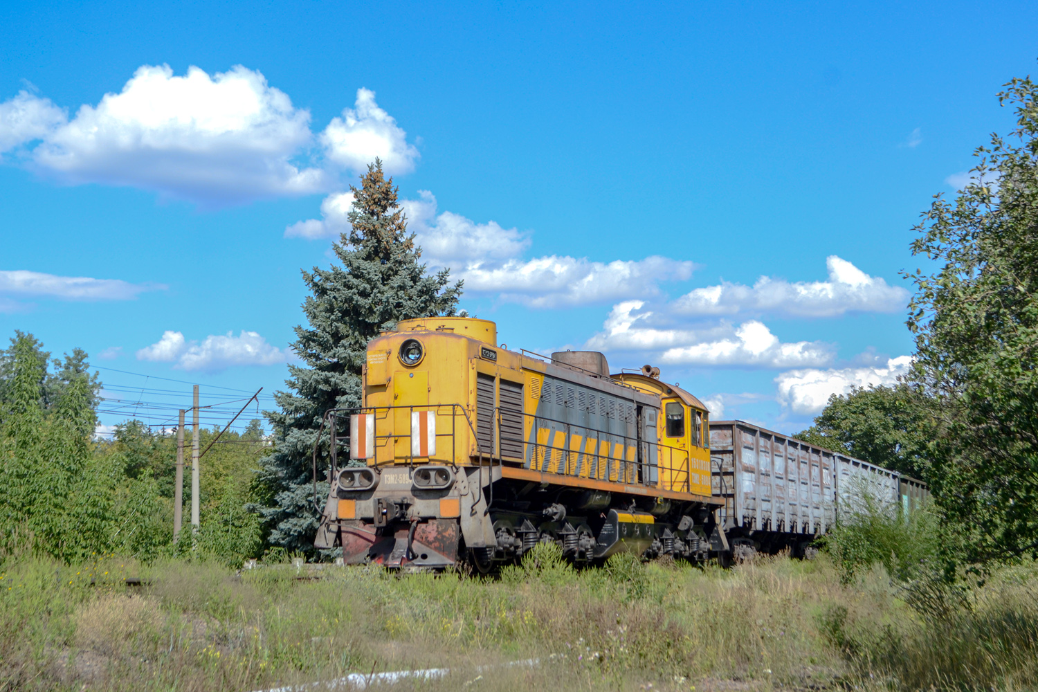 ТЭМ2-5894