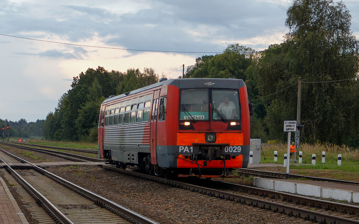 РА1-0029