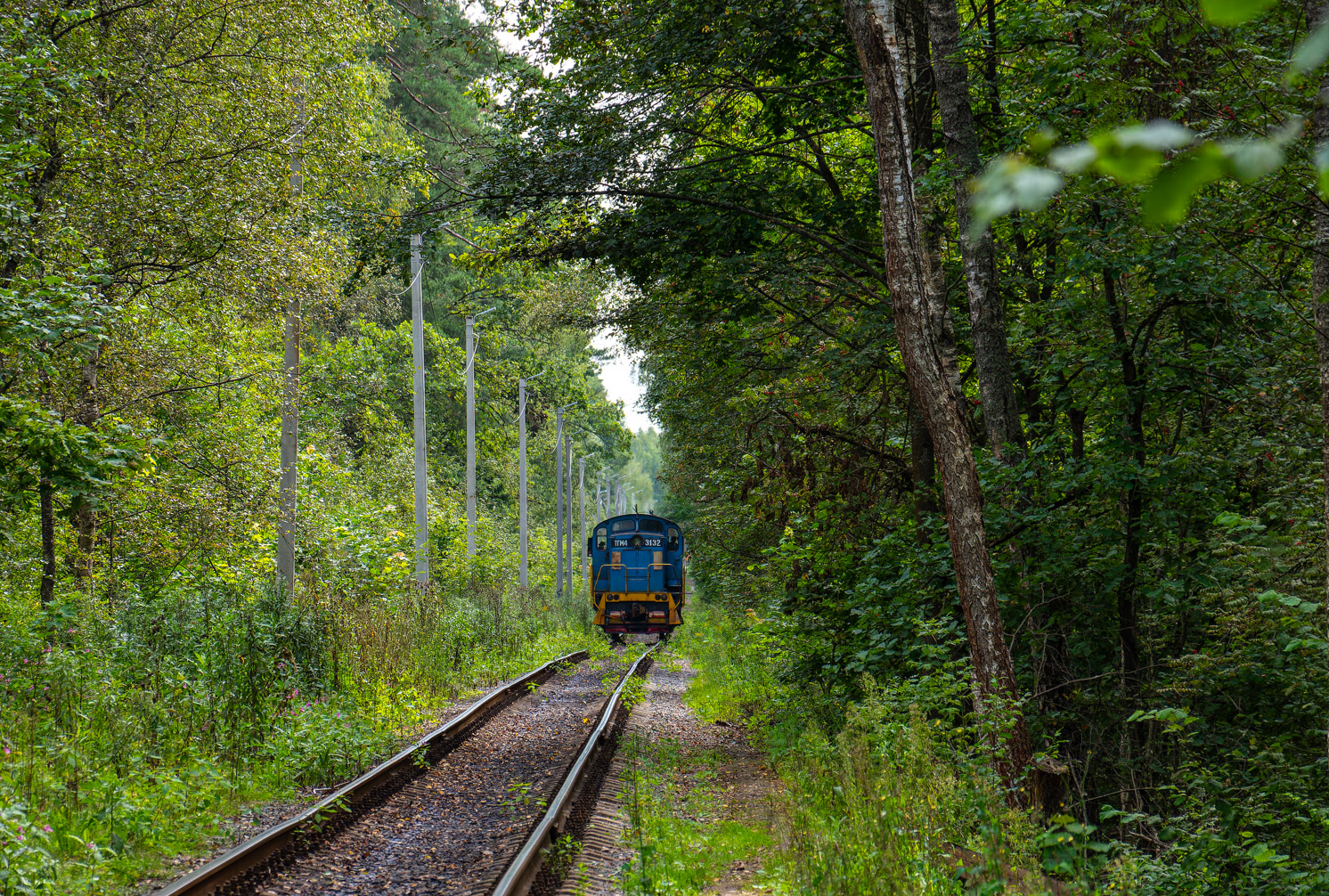 ТГМ4-3132
