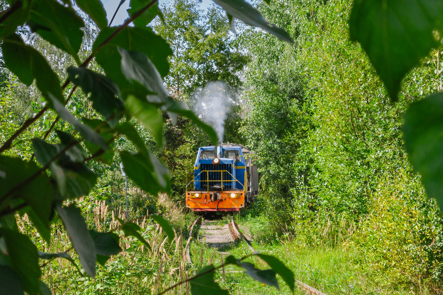 ТГМ40-0627; Фотозарисовки (Северная железная дорога)