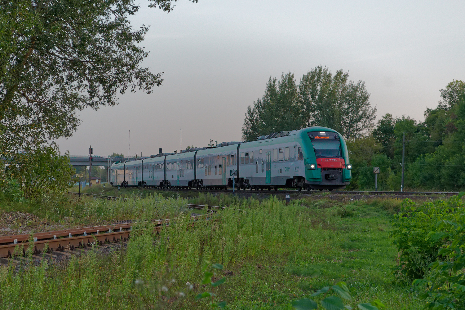 ДП6-004