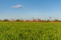 796 КБ