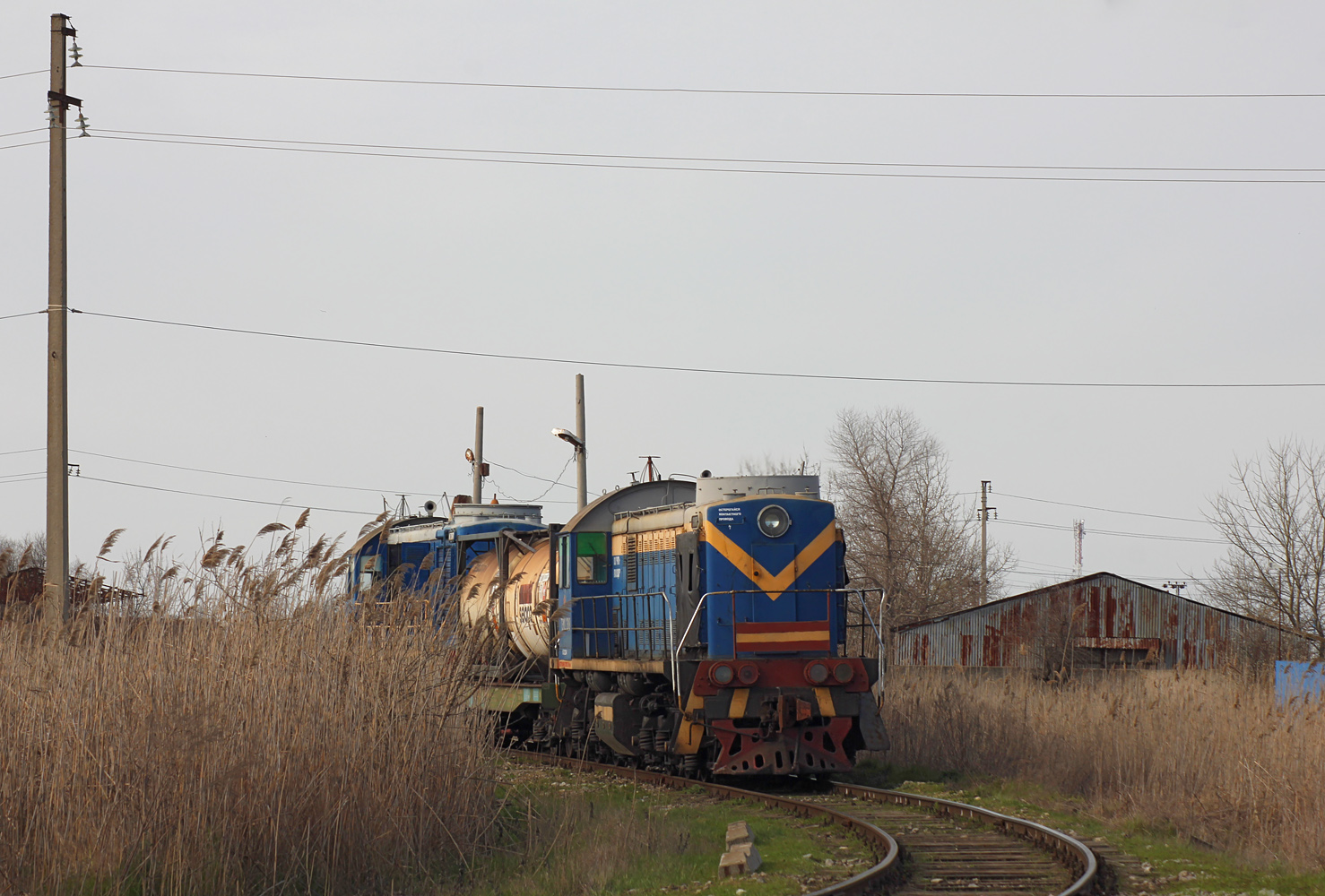 ТЭМ2-2318