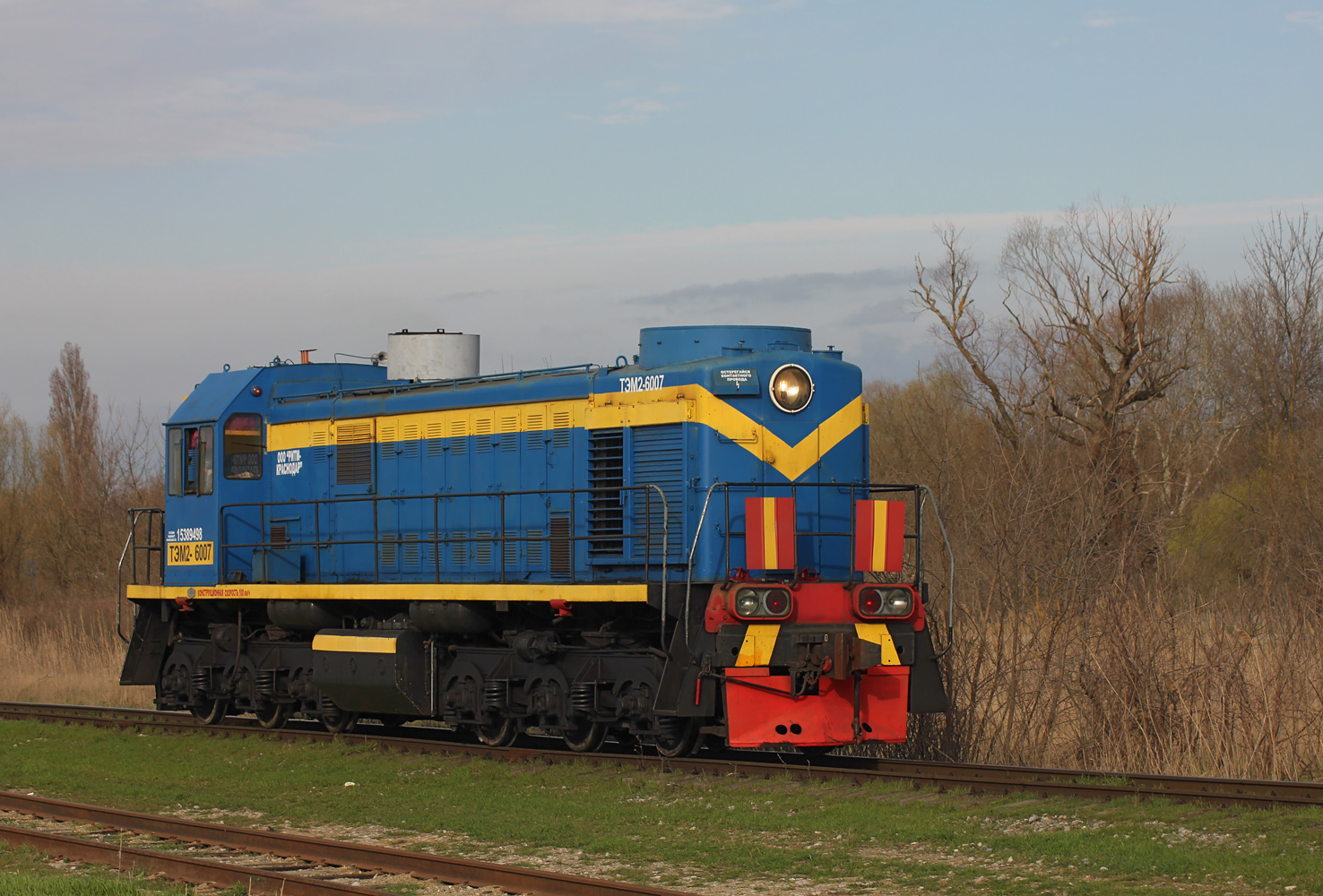 ТЭМ2-6007