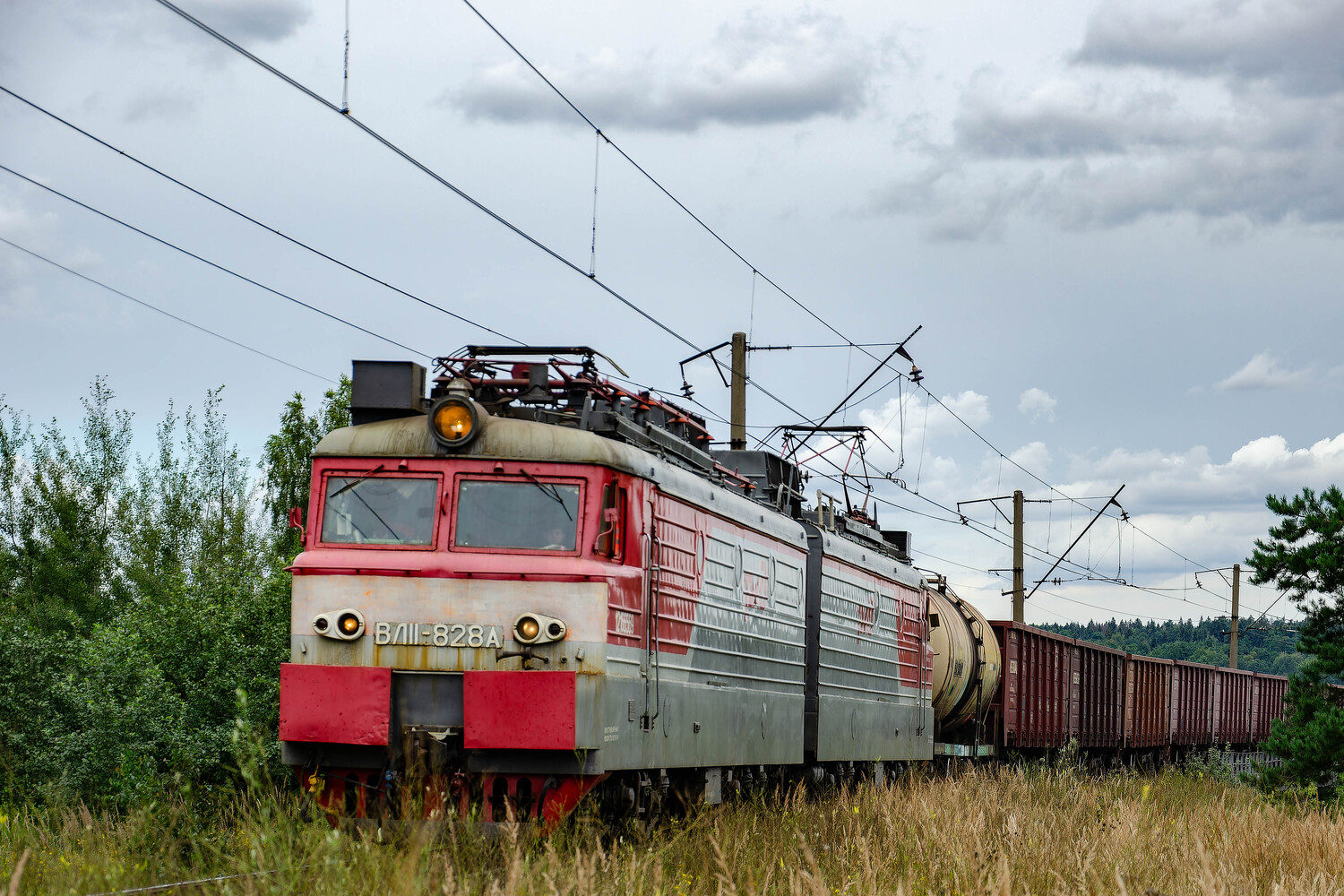 ВЛ11.8-828