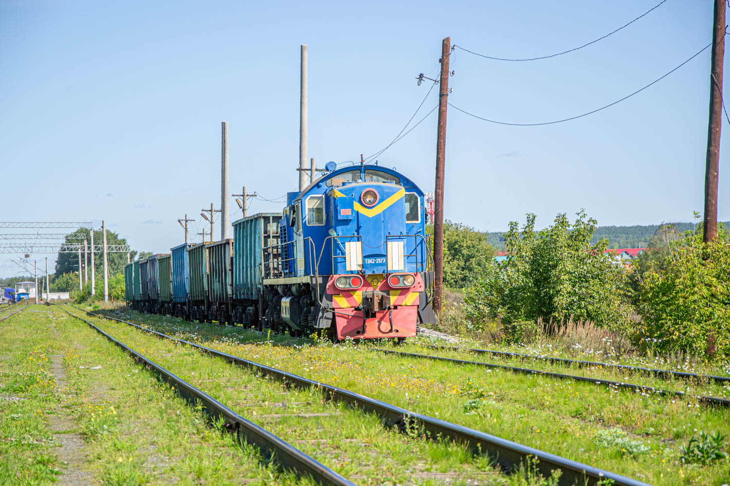 ТЭМ2-2973