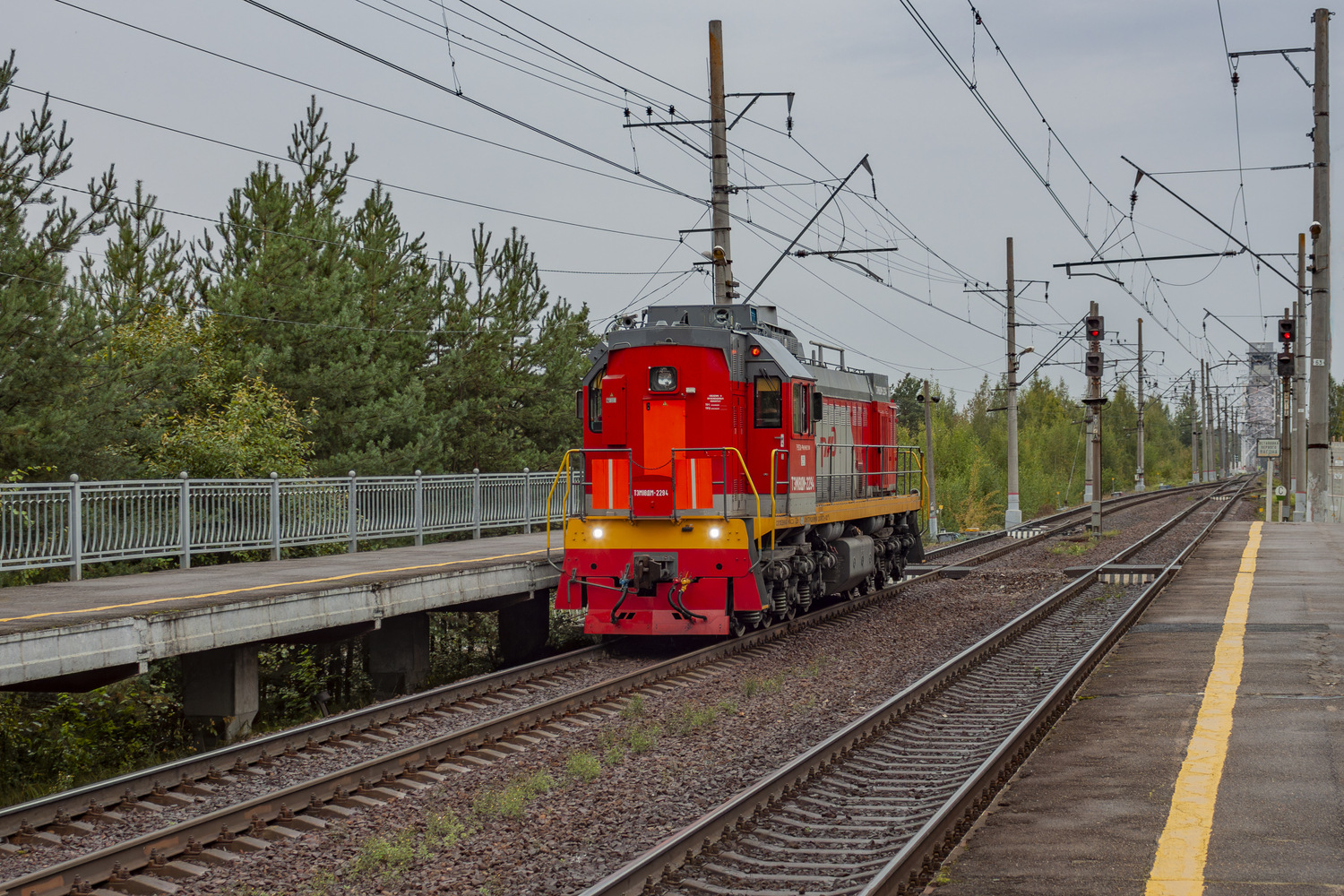 ТЭМ18ДМ-2294