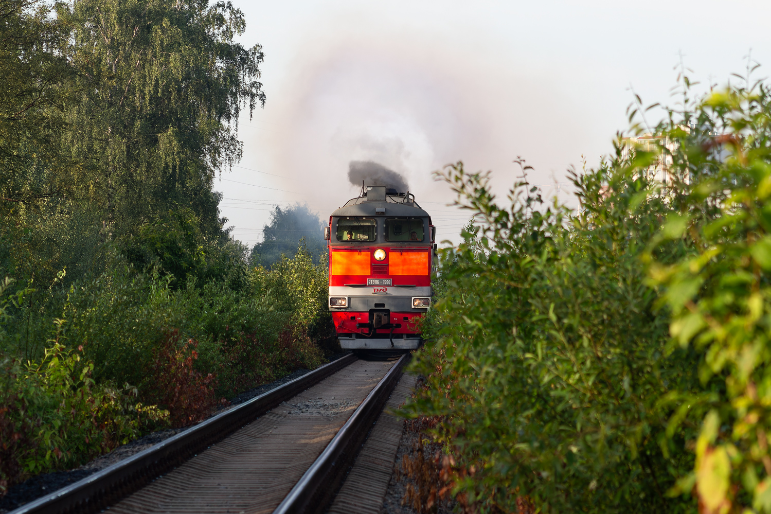 2ТЭ116-1560