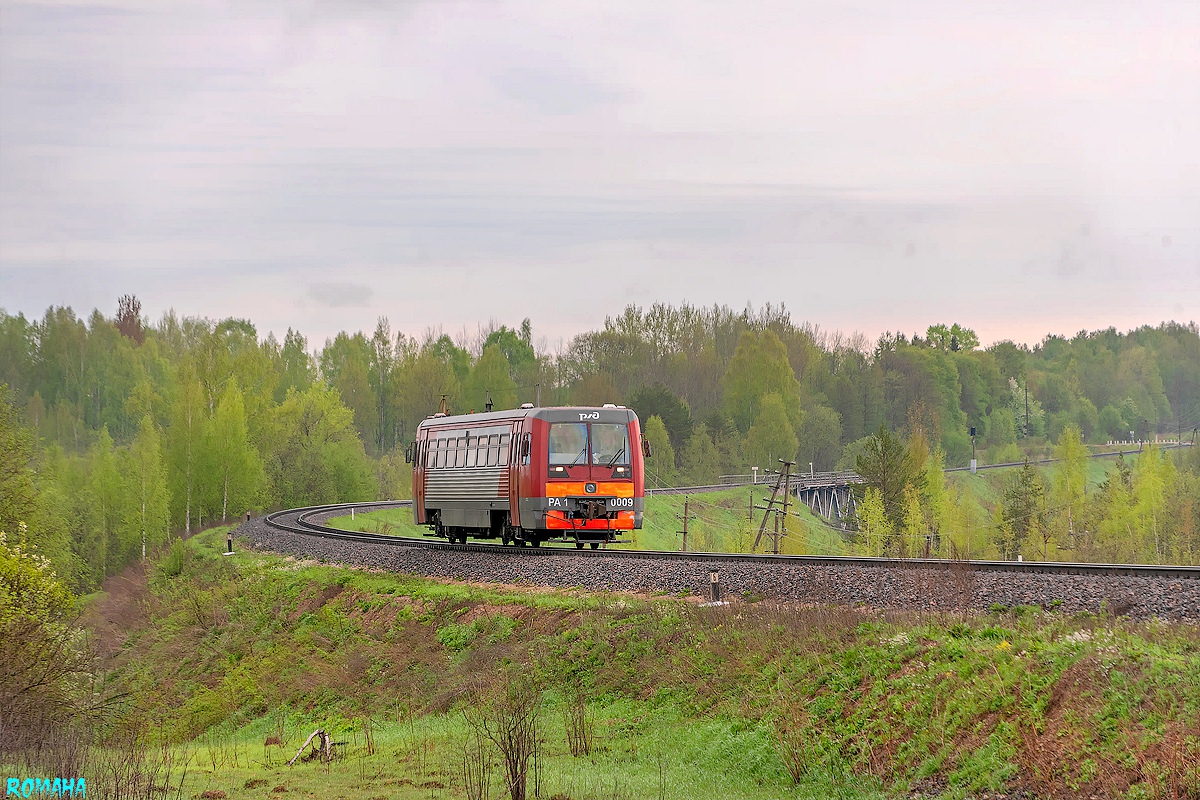 РА1-0009