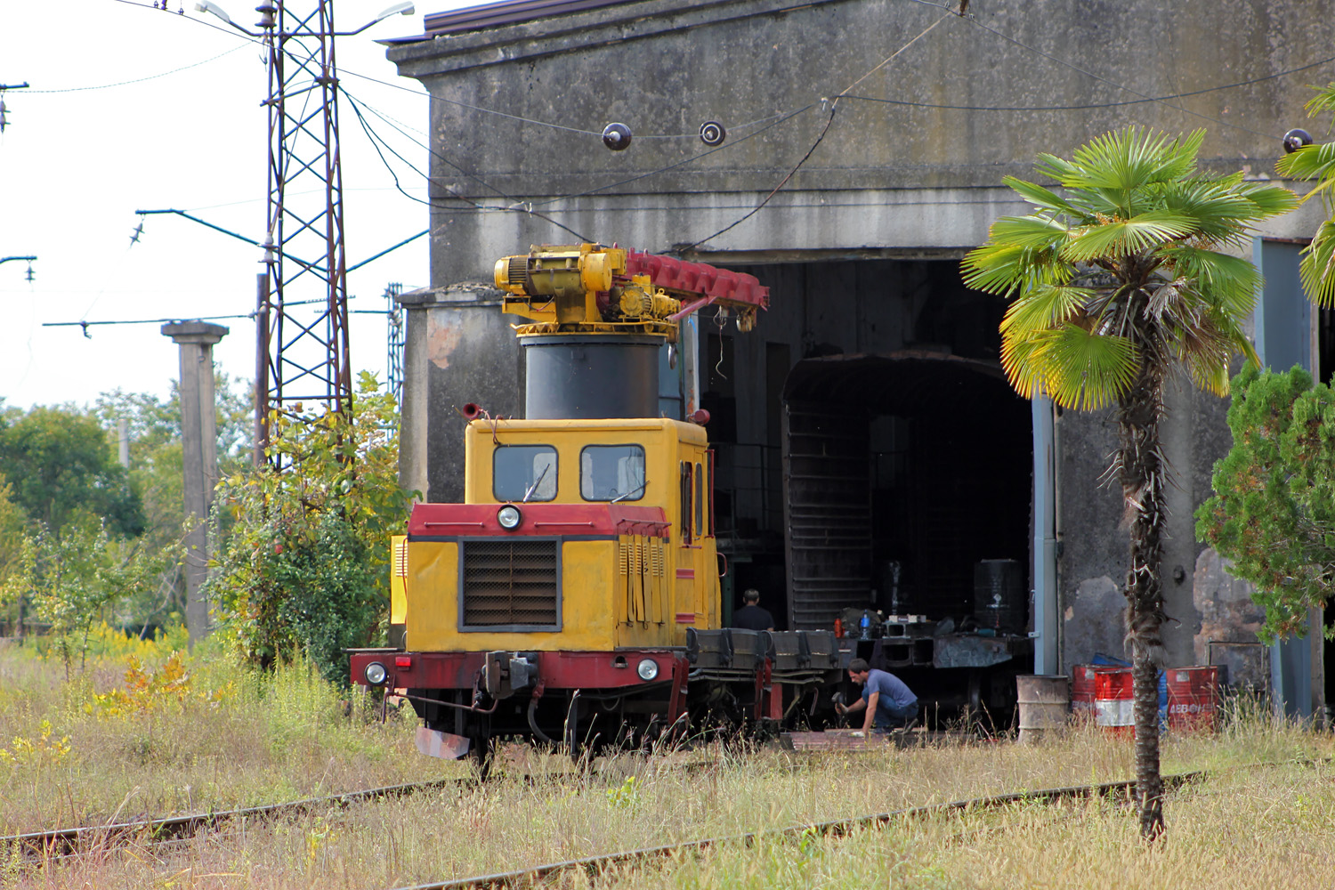 ДГку/5-4795