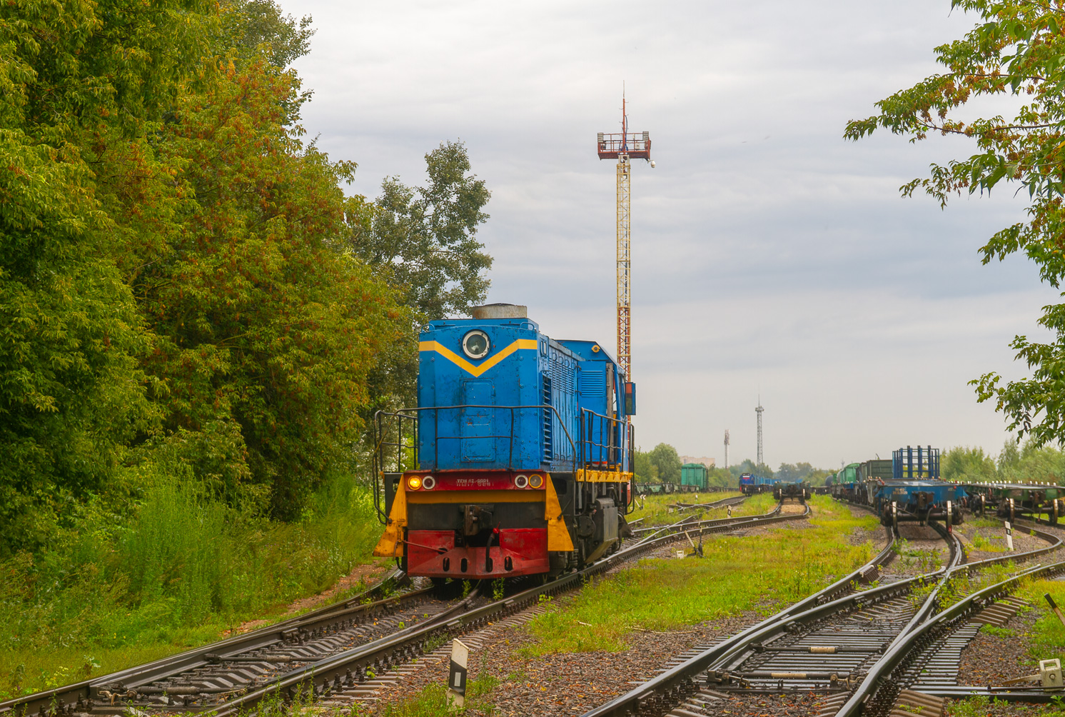 ТГМ12-0001