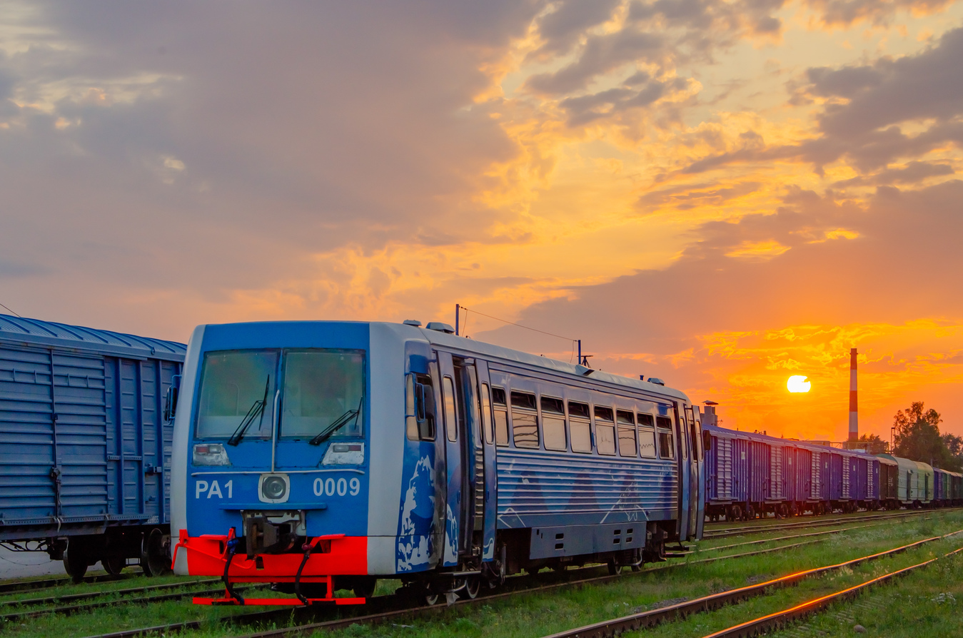 РА1-0009