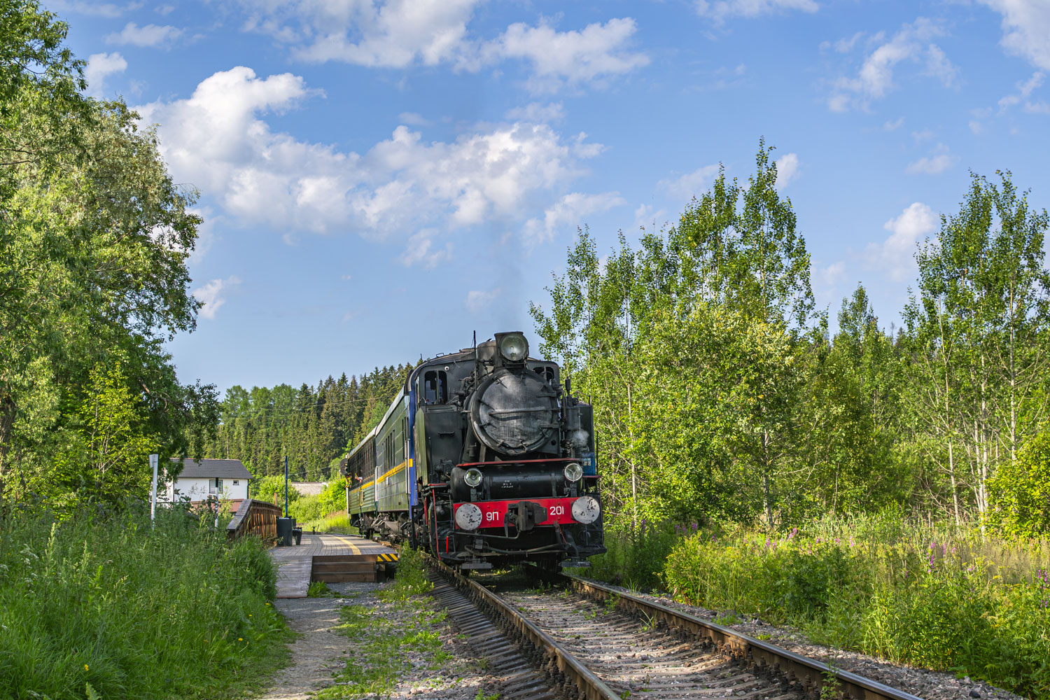 9П-201