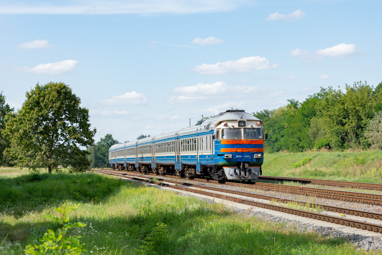ДР1А-193