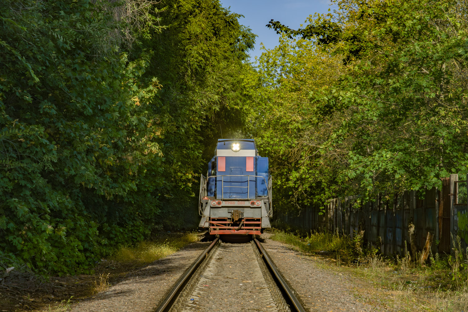 ТГМ6В-0180