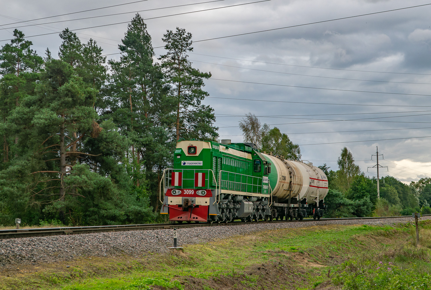 ТЭМ18ДМ-3099