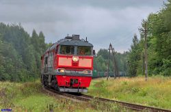 592 КБ