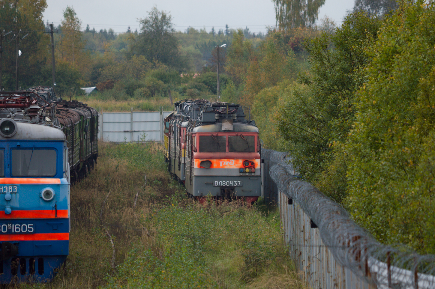ВЛ80С-137