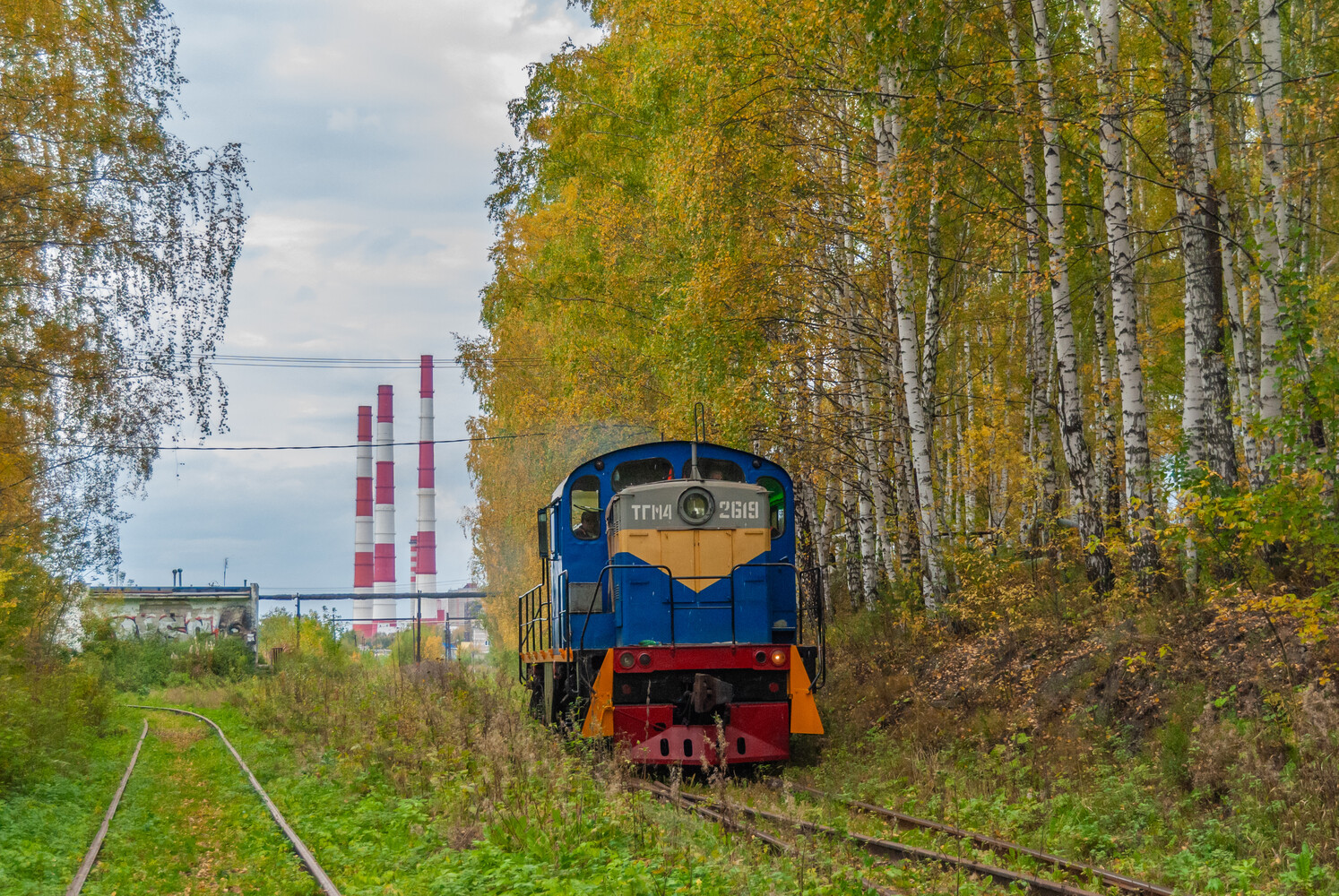 ТГМ4-2619
