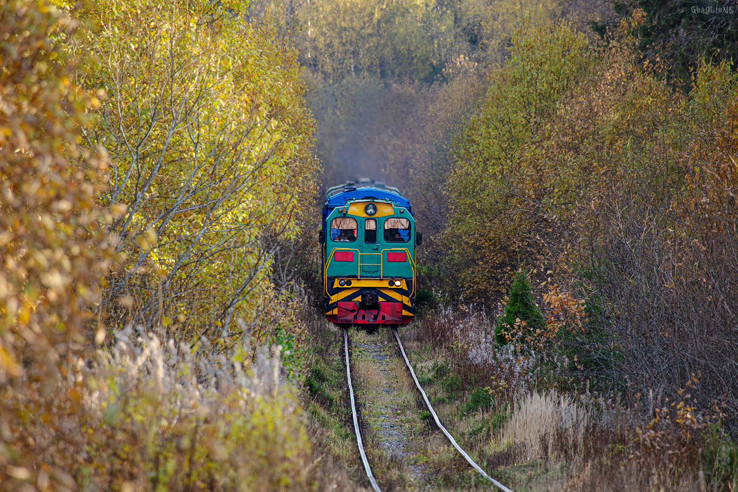 ТГМ6А-2331