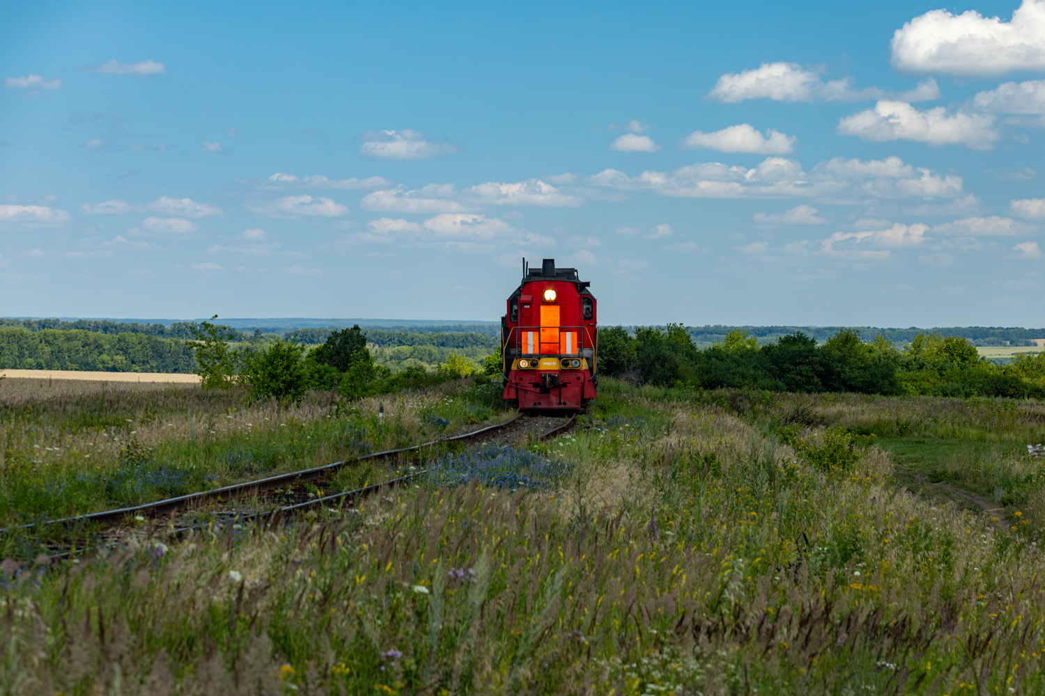ТЭМ18ДМ-720