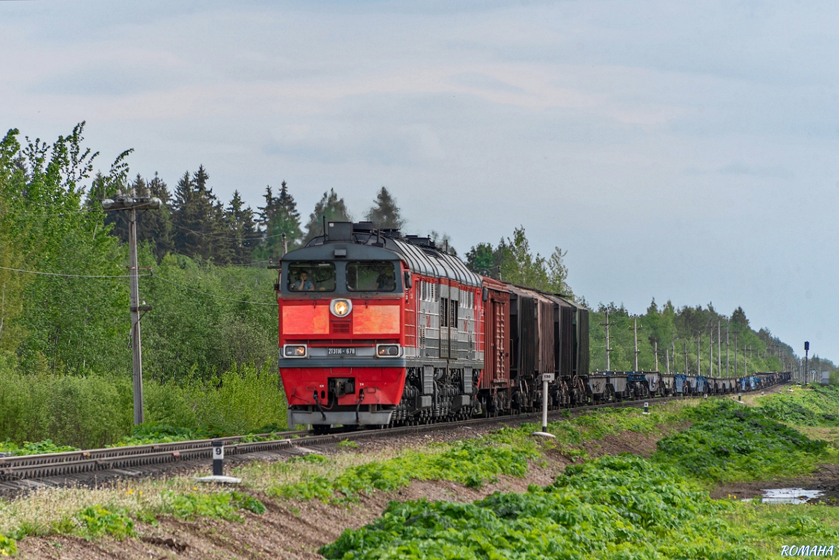 2ТЭ116-678