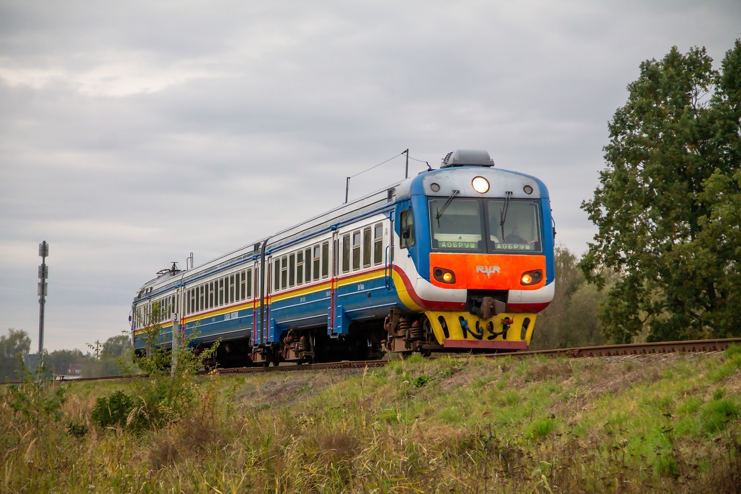 ДР1Б-505