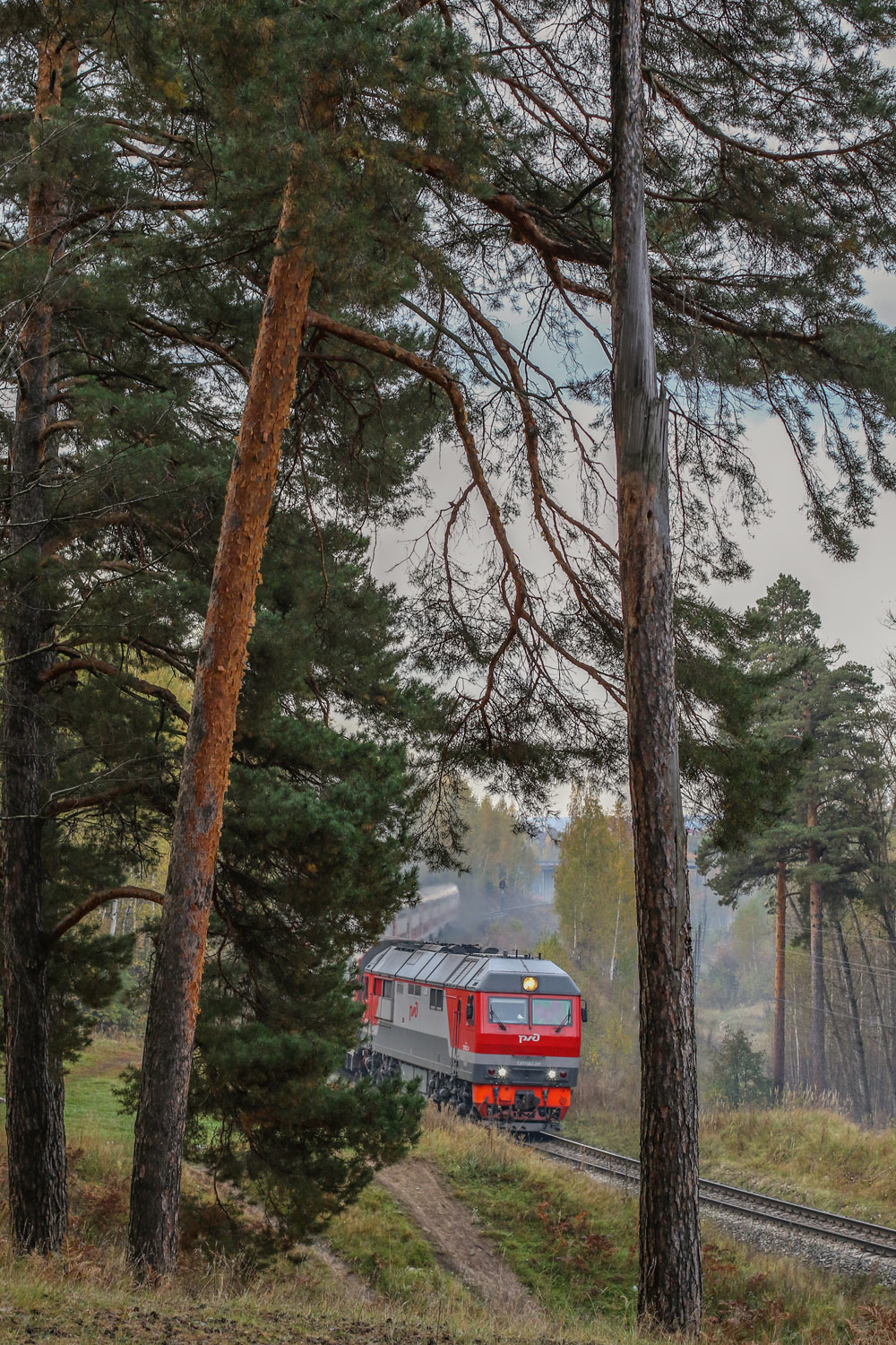 ТЭП70БС-241; Russia, Other &mdash; Photo creativitiy