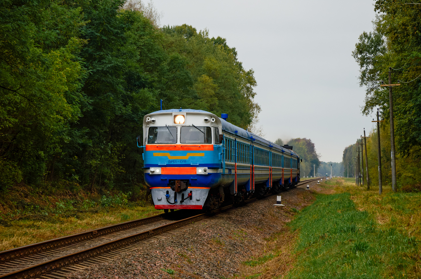 ДРБ1-011