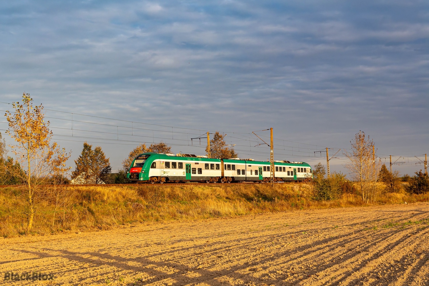 ДП3-006