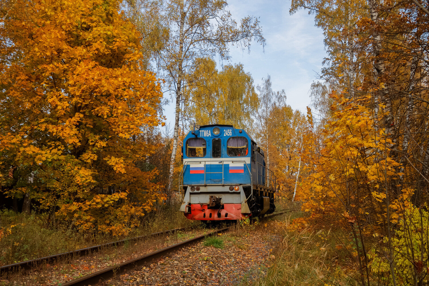 ТГМ6А-2456