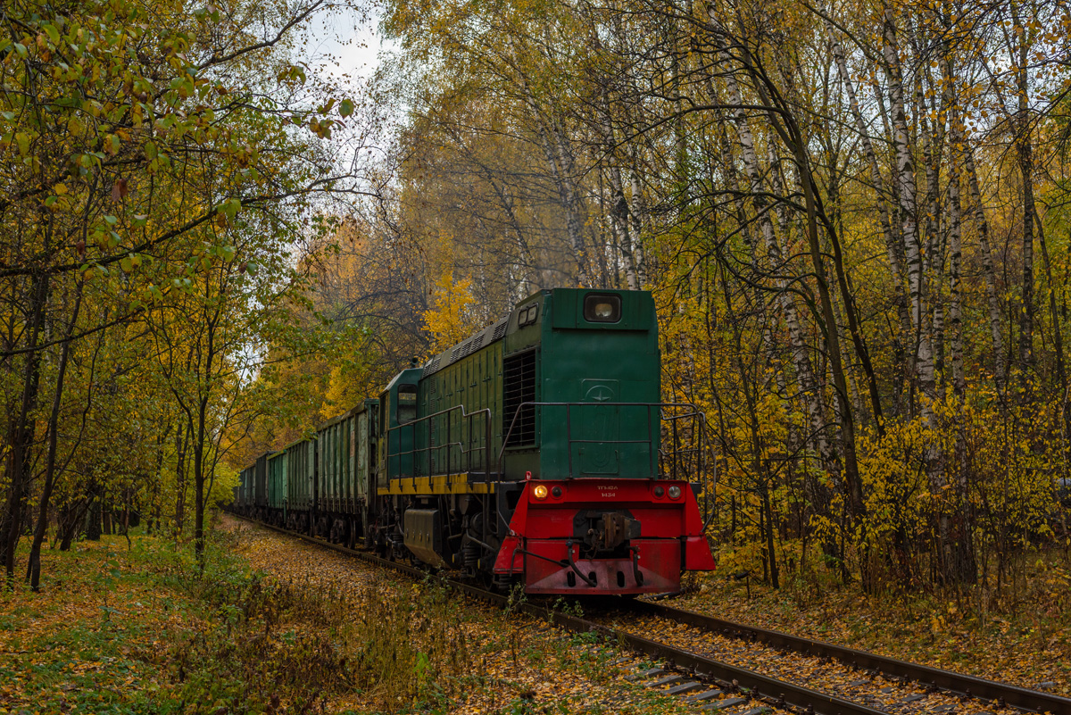 ТГМ6А-1434