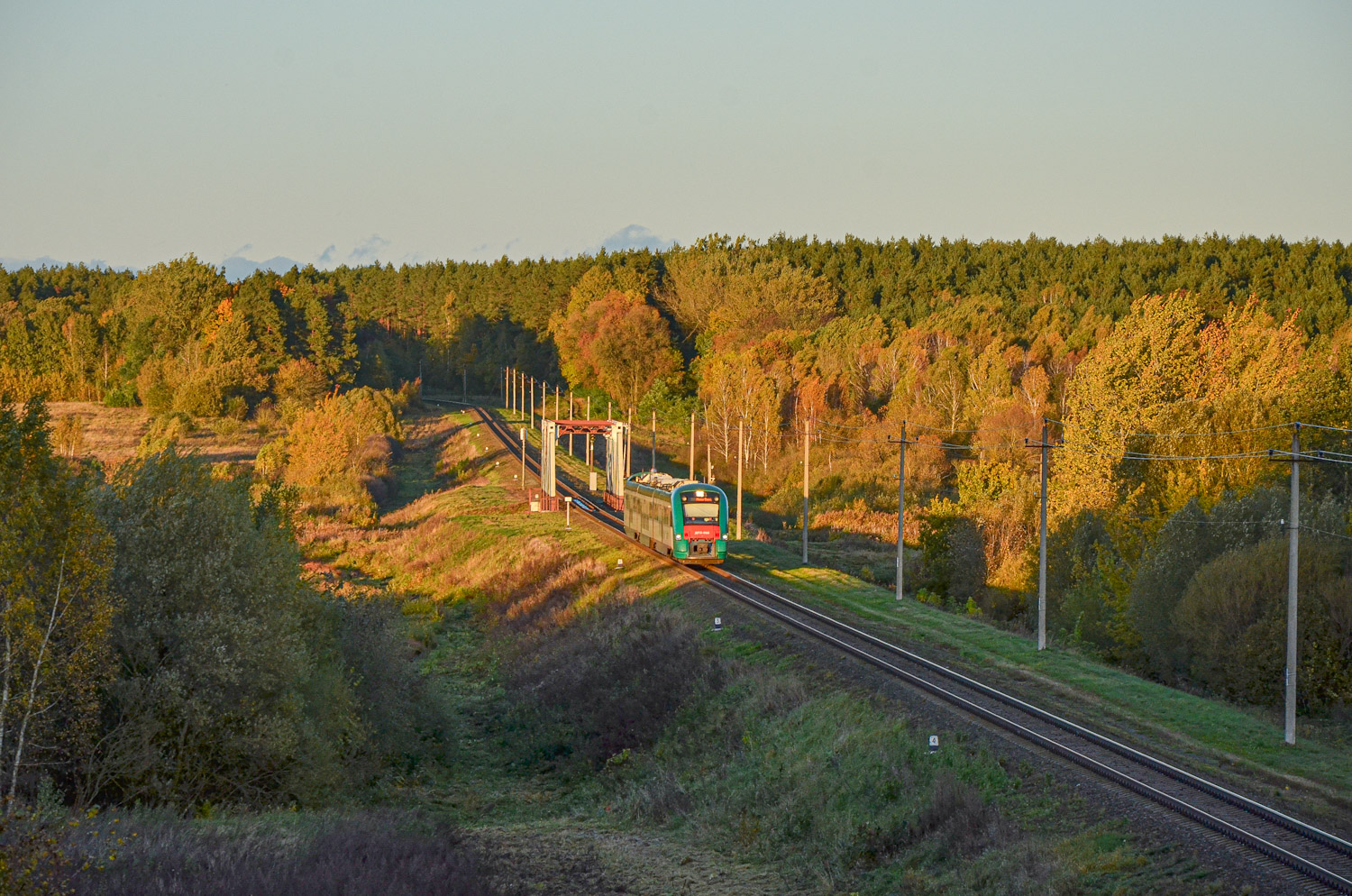 ДП3-006