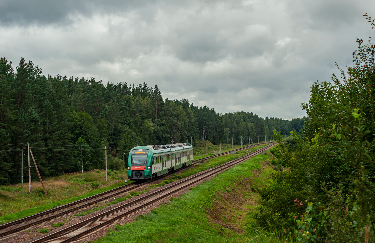 ДП3-001