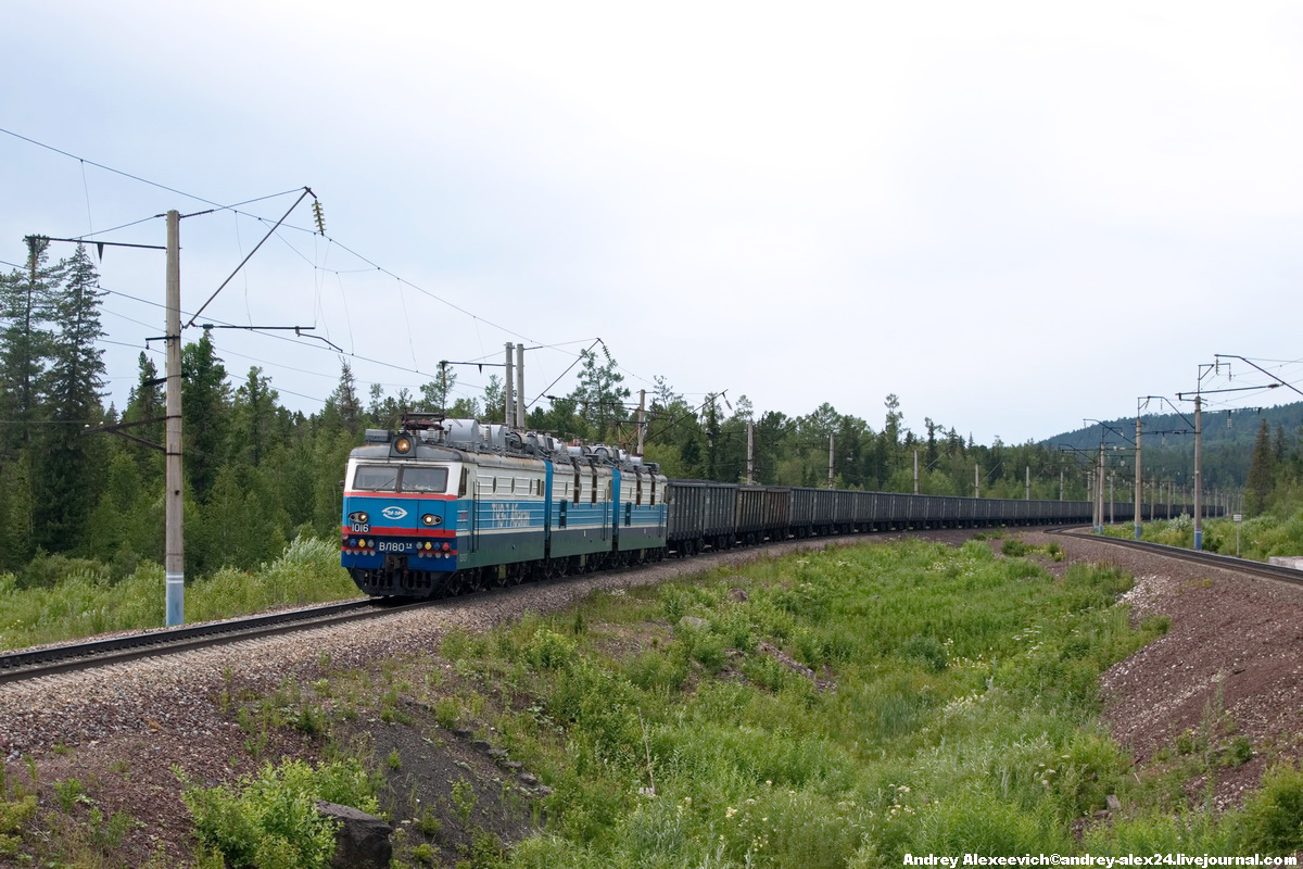 ВЛ80ТК-1016