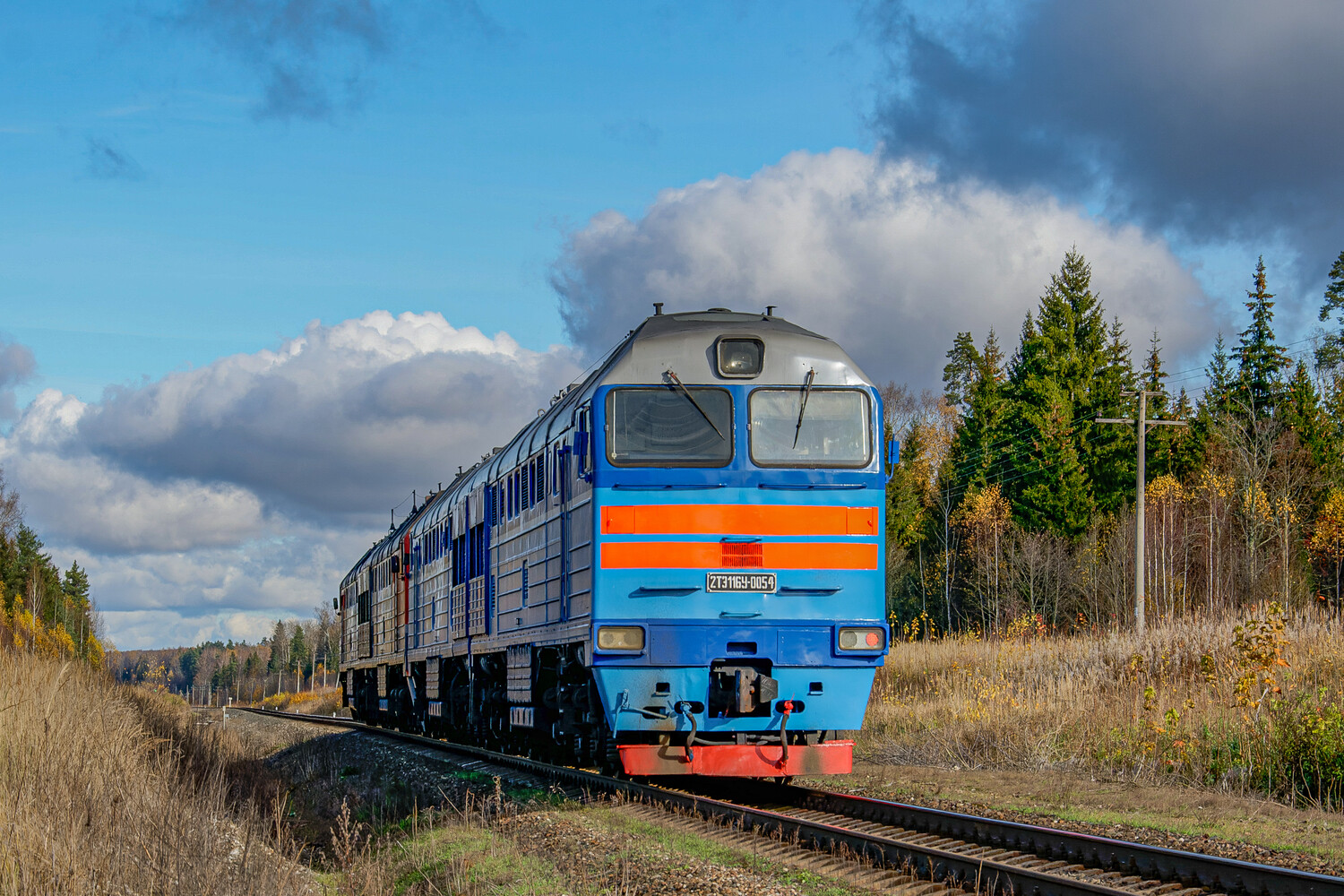 2ТЭ116У-0054