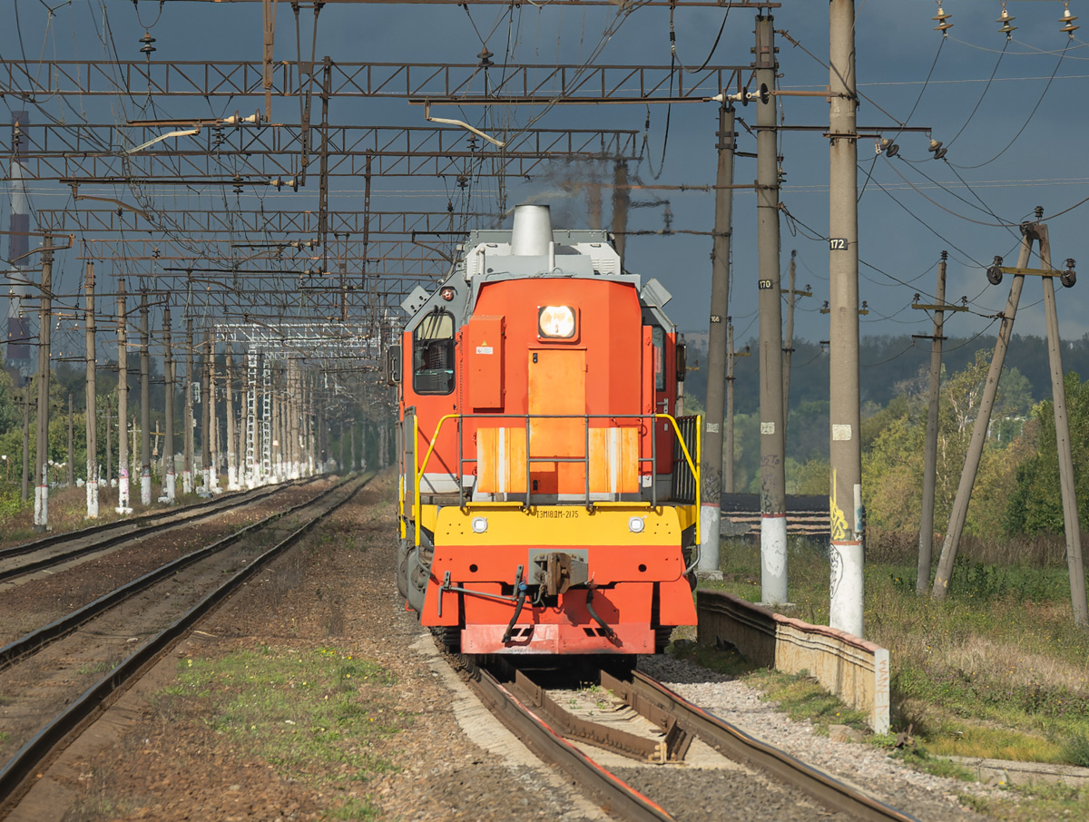 ТЭМ18ДМ-2175