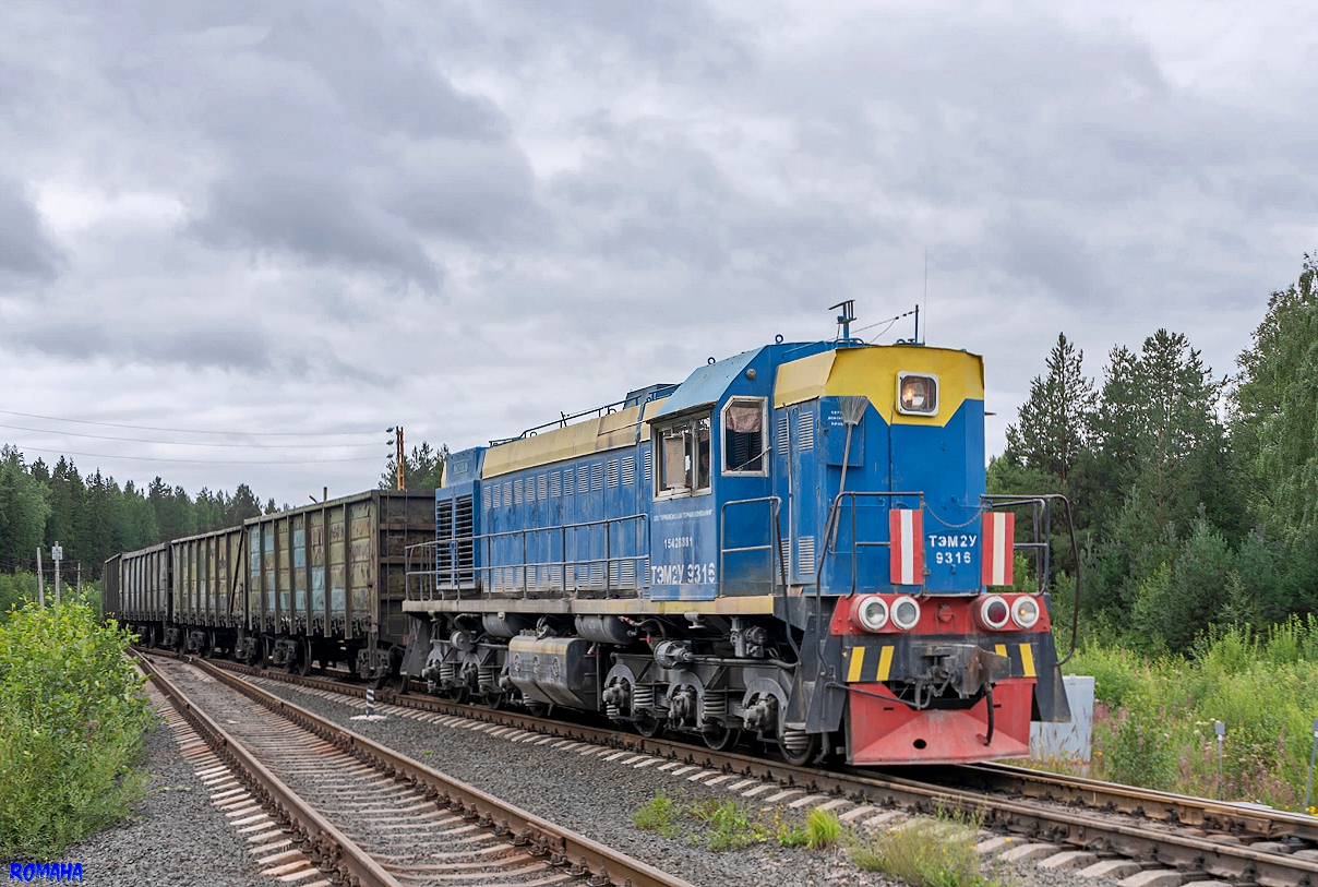 ТЭМ2У-9316