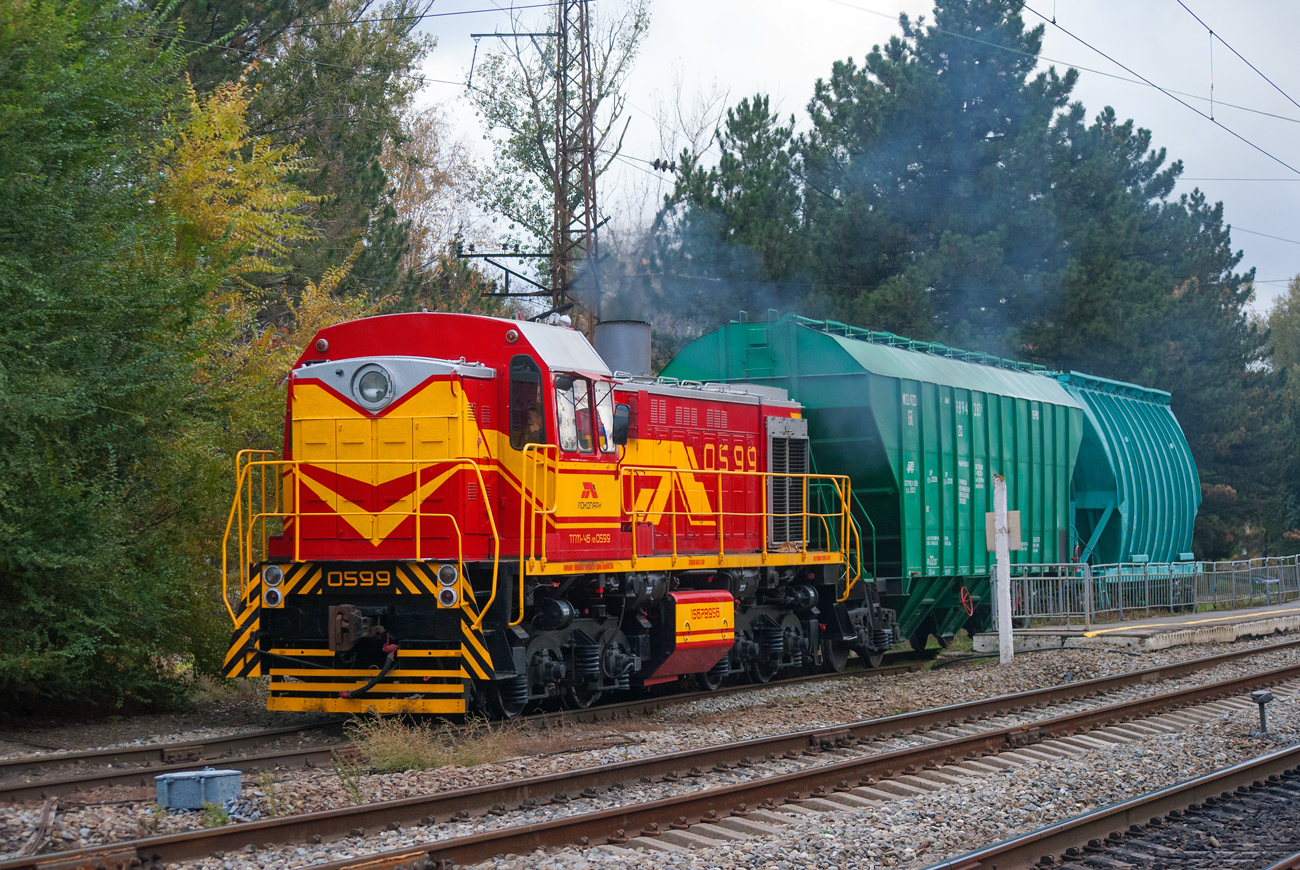 ТГМ4Б-0599
